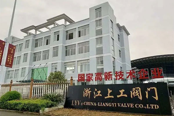 Zhejiang Liangyi Valvae Co.,ltd: Plus quam 60 populus quomodo creare 60 decies output valorem?