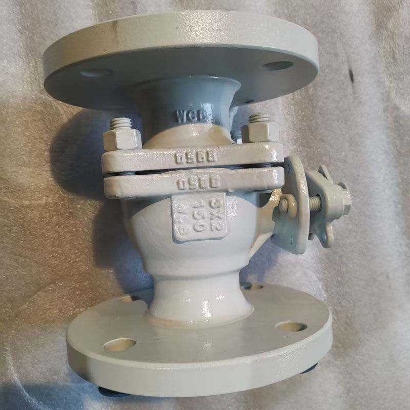 Redigendum peperit Curabitur Ball Valve